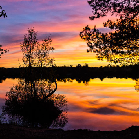 Veselské pískovny (fotograf Jan Liška)